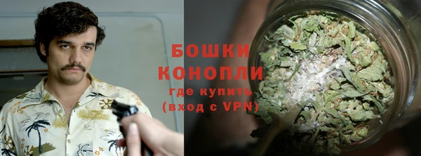 шишки Верея