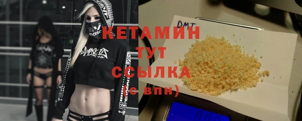 шишки Верея