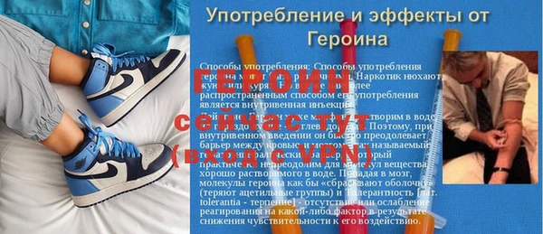 шишки Верея