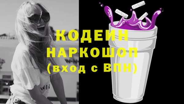 шишки Верея