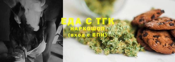 шишки Верея