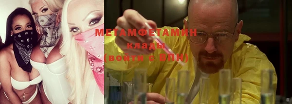 шишки Верея