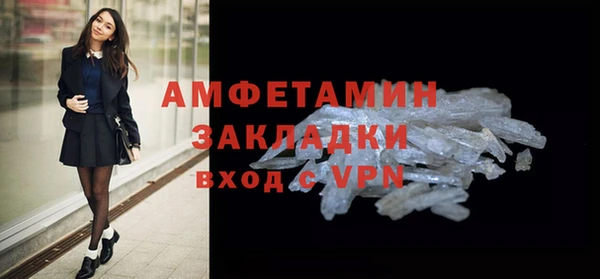 шишки Верея