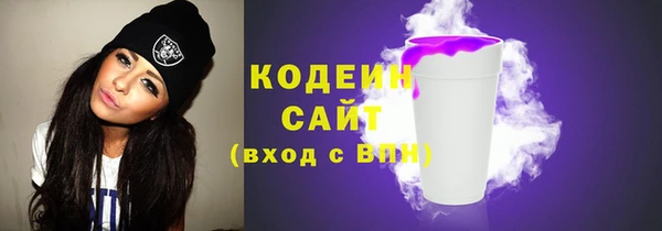 шишки Верея
