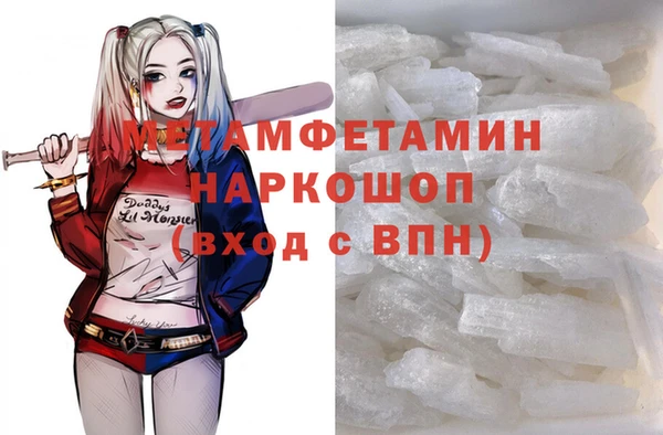 шишки Верея
