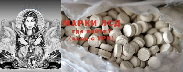 шишки Верея